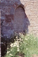 Neville Watkins 0456-25.jpg