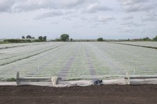 _7817802.jpg _7817802.jpg