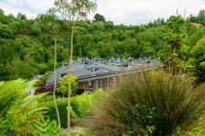 DSC_2333_TP.jpg DSC_2333_TP.jpg