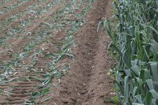 _7817819.jpg _7817819.jpg