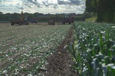 _7817842.jpg _7817842.jpg