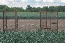 _7817849.jpg _7817849.jpg