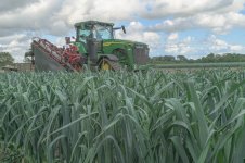 _7817859.jpg _7817859.jpg