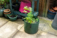 Movement .jpg Movement .jpg