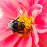 DSCF0577.jpeg DSCF0577.jpeg