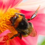 DSCF0609.jpeg DSCF0609.jpeg