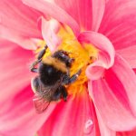 DSCF0588.jpeg DSCF0588.jpeg