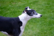 DSCF0571.jpeg DSCF0571.jpeg