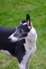 DSCF0572.jpeg DSCF0572.jpeg