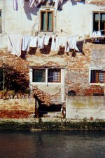 Venice Washing.jpg Venice Washing.jpg