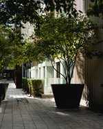 20240726-_nzf0915.jpeg 20240726-_nzf0915.jpeg