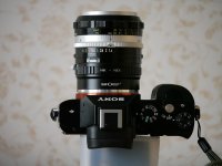 P1020150.JPG P1020150.JPG