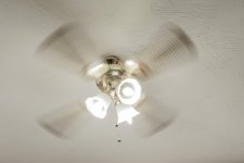 001 Movement-8949.JPG 001 Movement-8949.JPG