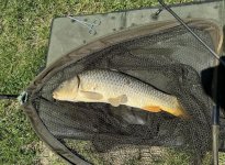 451867076_10163684795379829_3954504787201098550_n (1).jpg