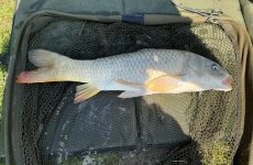 451863297_10163684795404829_2071565580949400203_n (1).jpg