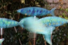 7a6d177d-121f-4fc8-9e9b-865a005f166d_640.jpg 7a6d177d-121f-4fc8-9e9b-865a005f166d_640.jpg