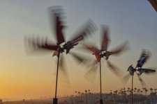 spinners at sunset.jpg spinners at sunset.jpg