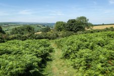 021 Track off Easdon Down 01-1023744 PS Adj.JPG 021 Track off Easdon Down 01-1023744 PS Adj.JPG