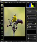 Untitled-1.jpg Untitled-1.jpg