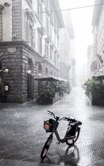 IMG_8012 cv  Large.jpeg