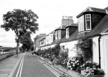 2024-08-06-0029-copy.jpg-tp.jpg 2024-08-06-0029-copy.jpg-tp.jpg