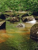 Glane View Portrait 4Thirds CR2 50T f8 60 Web.jpg Glane View Portrait 4Thirds CR2 50T f8 60 Web.jpg