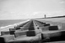 Brownie 02.jpg Brownie 02.jpg