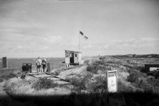 Brownie 03.jpg Brownie 03.jpg