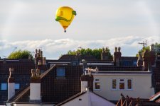 Snake2.jpg Snake2.jpg