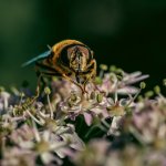 P1100551.jpg P1100551.jpg