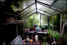 Glasshouse interior Sigma 10-16 A65 DSC03769.JPG Glasshouse interior Sigma 10-16 A65 DSC03769.JPG