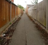 01 Ally.jpg 01 Ally.jpg