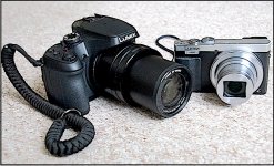 Panasonic TZ70 and FZ82 A65 DSC00486.JPG