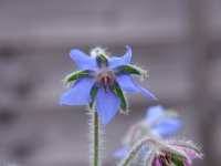 Hi Res.jpg Hi Res.jpg