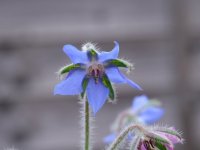 No hi res.jpg No hi res.jpg