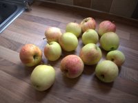 P1005683a.jpg P1005683a.jpg