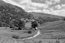 2406DPMXBW27 Country lane.jpg 2406DPMXBW27 Country lane.jpg