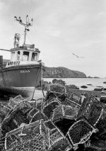 sf9 processed - 0 sun sep 1 10-43-13 2024.jpeg sf9 processed - 0 sun sep 1 10-43-13 2024.jpeg