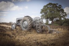 DPOY challenge - month 9 - Old.jpg DPOY challenge - month 9 - Old.jpg