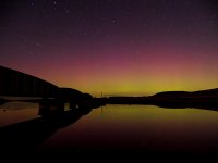 _9120551-Enhanced-NR.jpg _9120551-Enhanced-NR.jpg