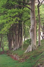 IMG_9963.jpeg IMG_9963.jpeg