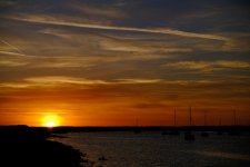 DSCF3746.jpeg DSCF3746.jpeg