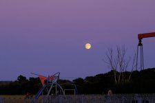 DSCF3752.jpeg DSCF3752.jpeg