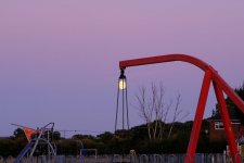 DSCF3750.jpeg DSCF3750.jpeg