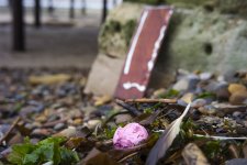 1-DSC07170.jpg 1-DSC07170.jpg