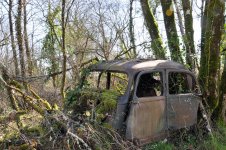 53565516548_d543157f0d_b.jpg 53565516548_d543157f0d_b.jpg