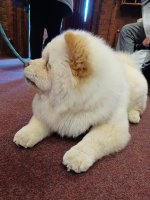 1-20240928_114112.jpg 1-20240928_114112.jpg