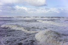 DSC07281.jpg DSC07281.jpg