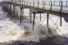 DSC07268.jpg DSC07268.jpg