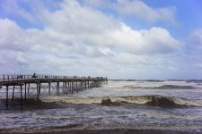 DSC07260.jpg DSC07260.jpg